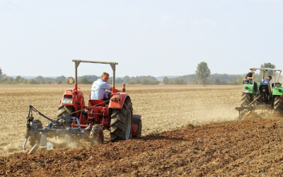 Agriculture fuels export boom